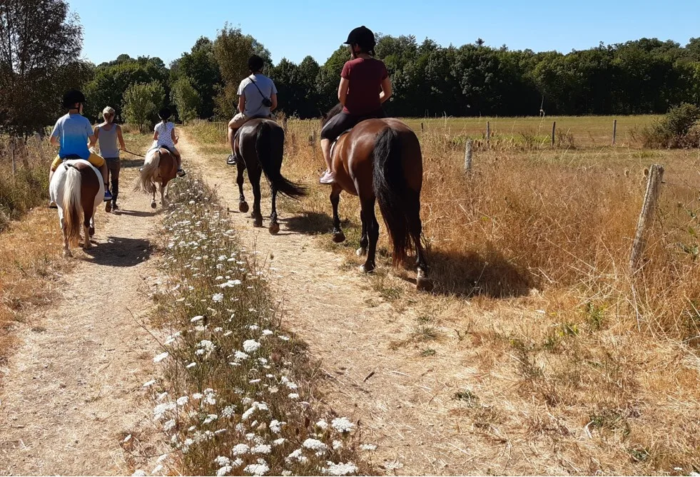 Poney Club des Retrouvailles