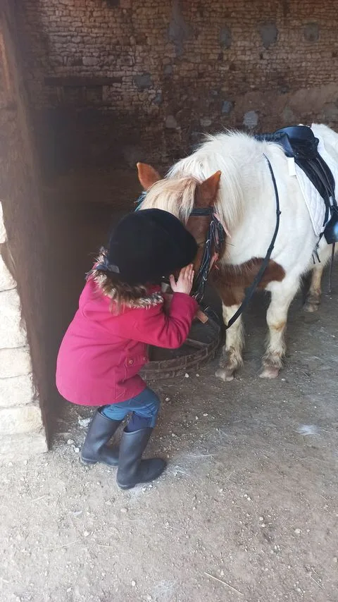 Poney Club des Retrouvailles