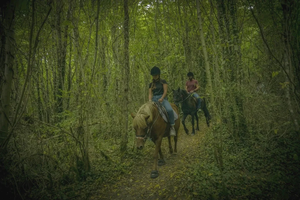 Randonnée à cheval_Poney Club des Retrouvailles