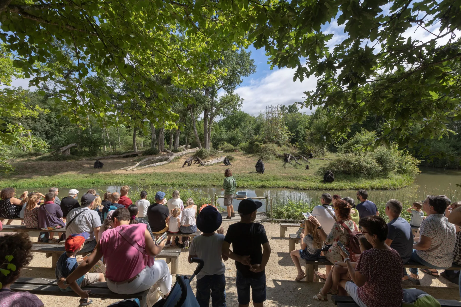 Vallée de Singes à Romagne