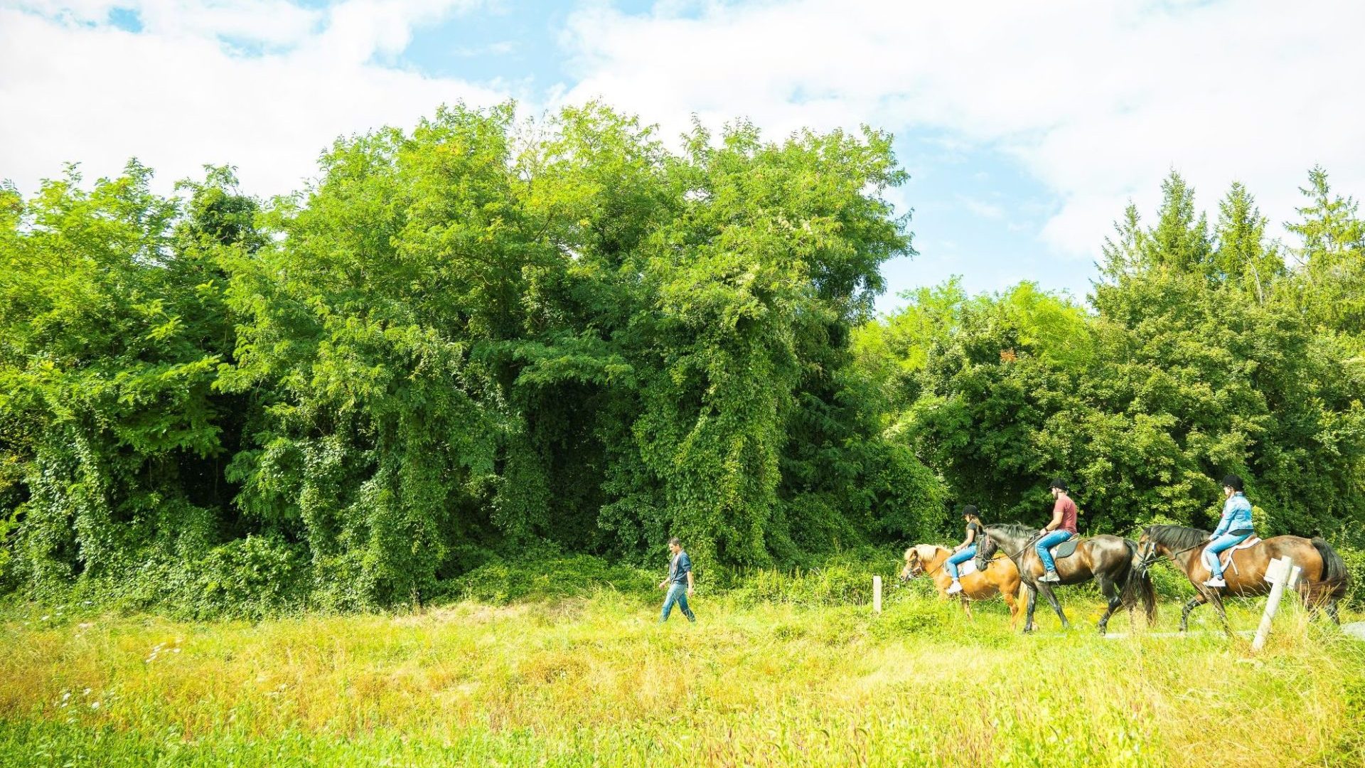 Horseback riding_Civraisien in Poitou