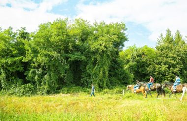 Randonnée à cheval_Civraisien en Poitou