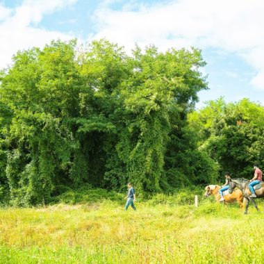 Randonnée à cheval_Civraisien en Poitou