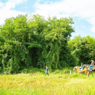 Horseback riding_Civraisien in Poitou