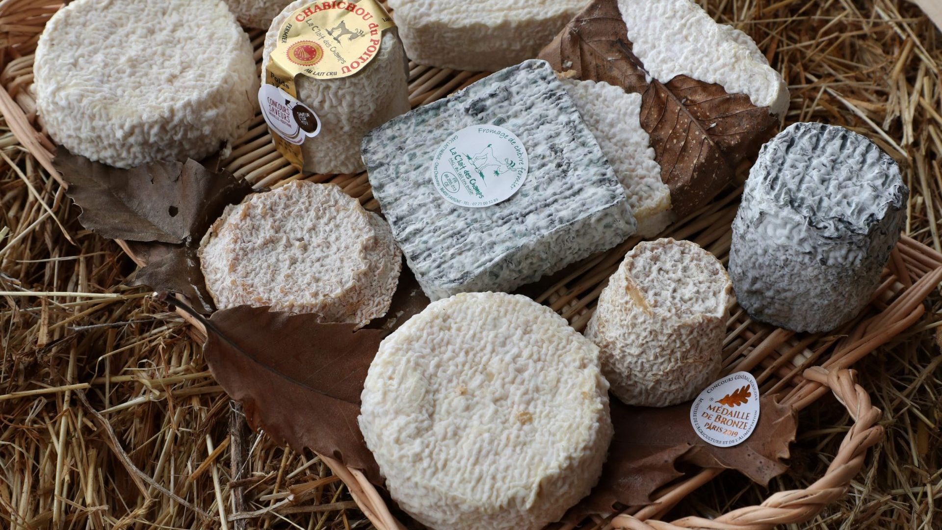 Plateau de fromages de chèvre