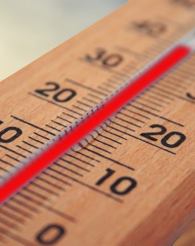 Quand il fait trop chaud