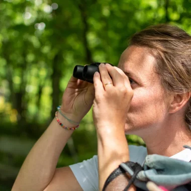 L'Aventure de Kaya_La Vallée des Singes_Romagne