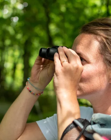 L'Aventure de Kaya_La Vallée des Singes_Romagne