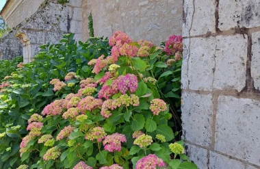 Le coup de coeur de Laetitia…