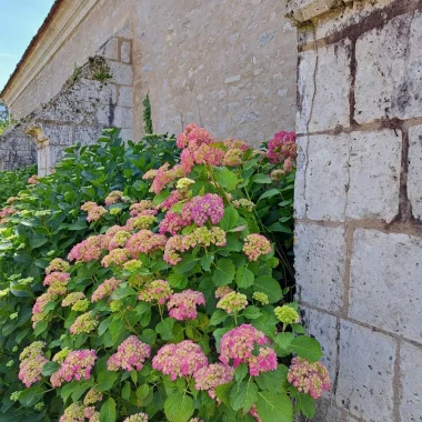 Le coup de coeur de Laetitia…