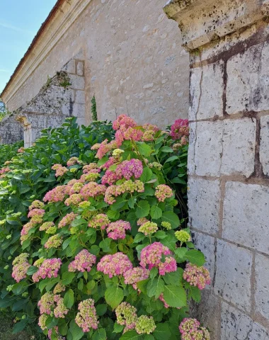 Le coup de coeur de Laetitia…