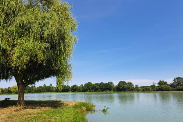 Notre top 10 des lieux pour se rafraîchir !